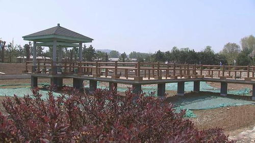 4月22日 天津要闻及抗击肺炎快报