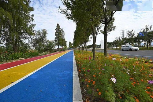 美丽城镇建设行动68 串珠成链 秀风景 绿水青山挟智慧 姜山何以 成画