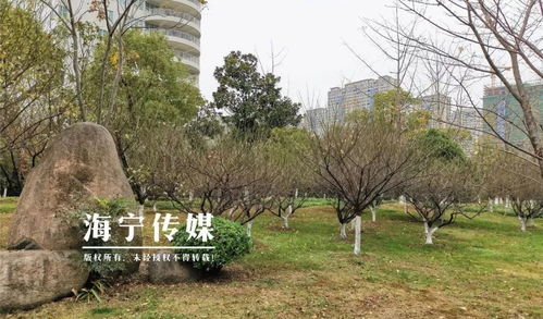 最新公布 海宁19个项目上榜 涉及学校 酒店 道路