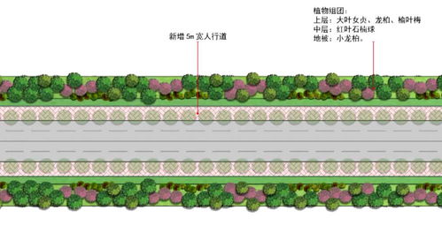德州中心城区全面开展绿化品质提升工作,项目建成后常绿树种超50