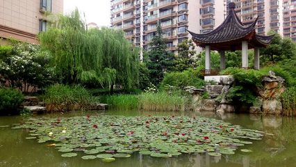罗浮净土人文纪念园入口公园 公共空间 旅游 景区 墓园 禅修 佛教 特色产业公园 罗浮净土 特色停车场 植物 铺装(SED新西林景观国际,受邀加入ASLA协会,拥有风景园林工程设计专项甲级,业务范围:住宅及社区设计 酒店及度假设计、养老地产及产业园区设计、商业地产设计、城市及空间设计、城市规划设计) (2)