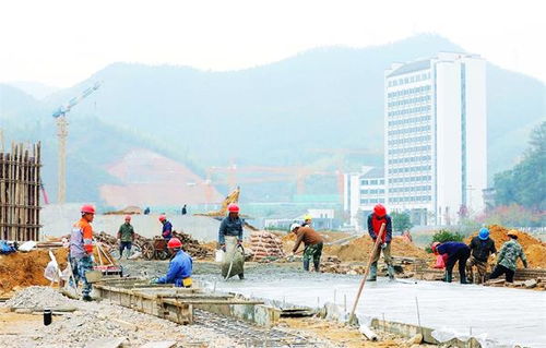 冬日建设忙
