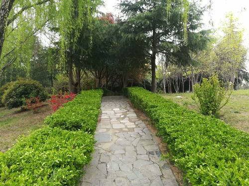 风景秀丽的阎良公园,绿意环绕