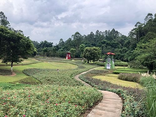 嘉州绿心公园新一轮景观建设即将完工 市民提前打卡体验