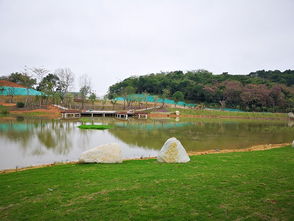金台山森林公园工程建设过半 计划明年春节对外开放南湖景区,北湖部分工程明年8月全部开放