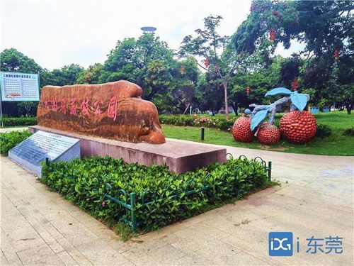 上半年全市城市管理 成绩单 出炉 东城第一,桥头进步最大