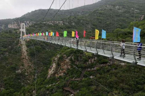 浙江省风景区玻璃桥建设项目可行性研究报告申请书