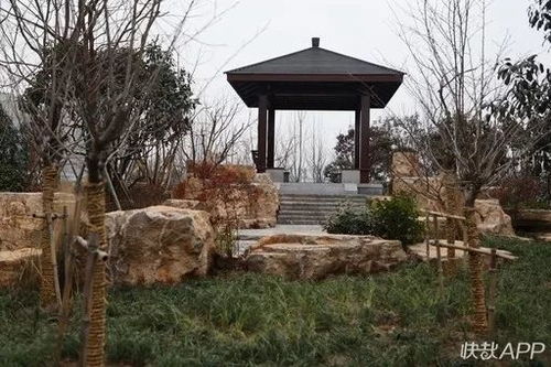 好消息 徐州又多两处绿化景观 公园,家住附近的有福了