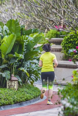 中海鹿丹名苑(中海天钻)现代典雅 新古典 顶级豪宅 大区 特色漫跑道 植物种植 景观设计(SED新西林景观国际,受邀加入ASLA协会,拥有风景园林工程设计专项甲级,业务范围:酒店及度假设计、特色产业环境、商业地产设计、住宅及社区设计、城市概念规划、市政基础设施设计)