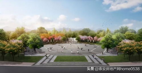 泰安人注意了 这个地方又迎来发展新机遇
