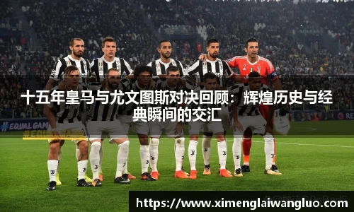 JN体育