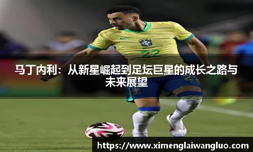 马丁内利：从新星崛起到足坛巨星的成长之路与未来展望