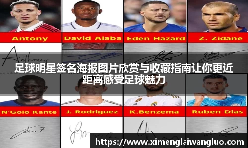 jn江南·体育登录入口